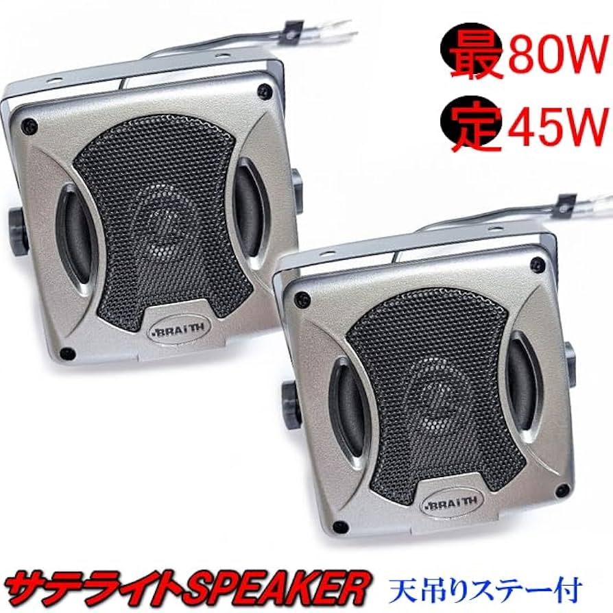 Amazon.co.jp: PL-223サテライトスピーカー MAX80W 天吊り